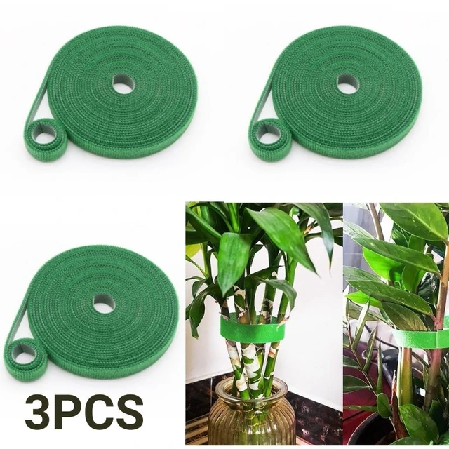 1/3Pcs 2M Green Garden Twine Plant Ties Nylon Plants Bandage Fastener Tape  Hook Loop Bamboo Cane Wrap Support Accessories Red - AliExpress