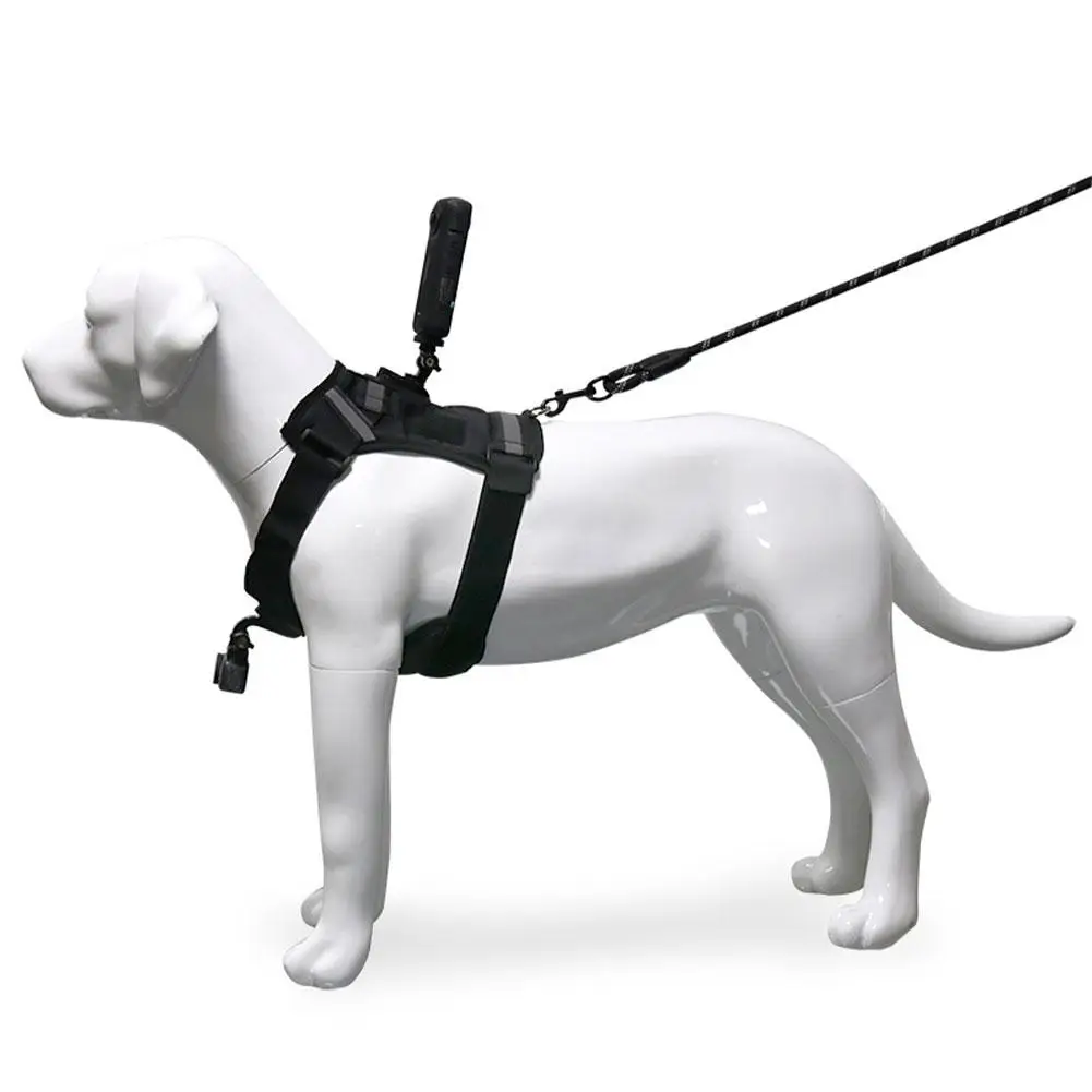 Harnais chien pour caméra action DJI Insta360 - Support poitrine dos