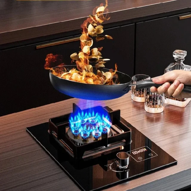 Single Burner Gas Stove, Home Use, Tabletop and BuiltIn High Flame Gas Cooker, Quick Ignite Appliance Compact Cooking Tool"