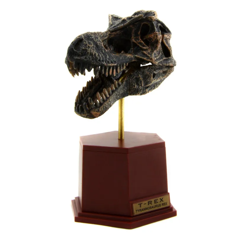 Jurassic World Park Tyrannosaurus Rex T-Rex Skull Fossil Pvc Assembly Dinosaur Toys Model Action Figures
