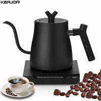 Electric Gooseneck Kettle 1000W Hand Brew Coffee Pot with Temperature Control Electric Rapid Heating Kettle for Coffee 220V/110V 1