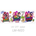 LM-M20