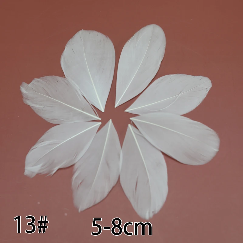 Create Idea 12 Piume Naturali Per Cappello – Decorazioni Fai Da Te Multicolore 10-13 Cm