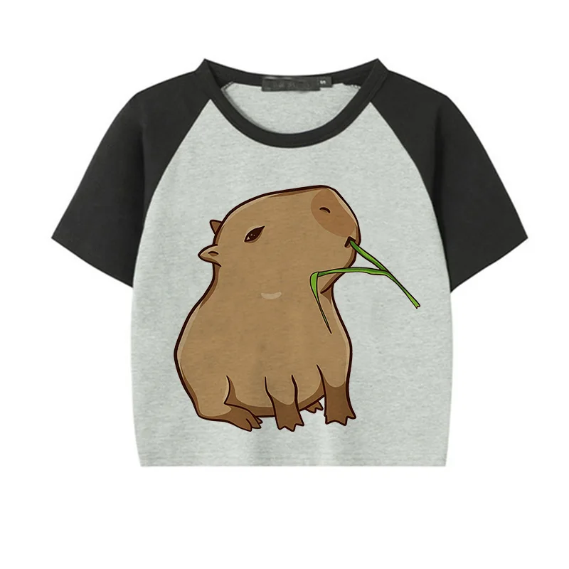 Camiseta capivara kawaii infantil, roupas de desenhos animados infantis,  capivaras fofas, camiseta de amor para bebê, top casual para menino e  menina - AliExpress