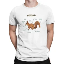 Camisetas creativas de algodón para hombre, camisa de cuello redondo con estampado de Anatomy Of A Squirrel, estilo Harajuku para Gaming