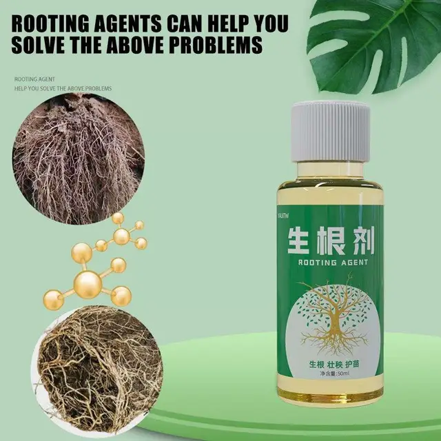 Gyors Gyökérzet -Oldat Erős Palánta Por Univerzális Javítás Oldat Tápanyag -Növény Túlélési Virág Műtrágya Folyékony T T5G9 - Image 5