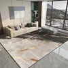 Living Room Decoration Marble Carpets Modern Light Luxury Large Rugs Hall Sofa Area Soft Floor Mat Room Doorway Hallway Carpet 4