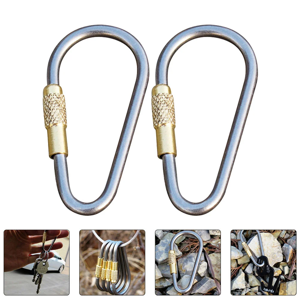 

2Pcs Carabiner Clips D Ring Shape Locking Carabiner Hooks Spring Snap Hook Keyring Keychain Link Buckle Heavy Duty Quickdraws