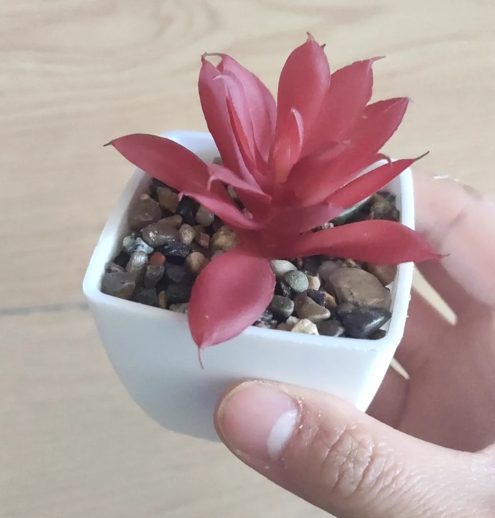 Mini Artificial Succulent Bonsai for Home and Office Decor