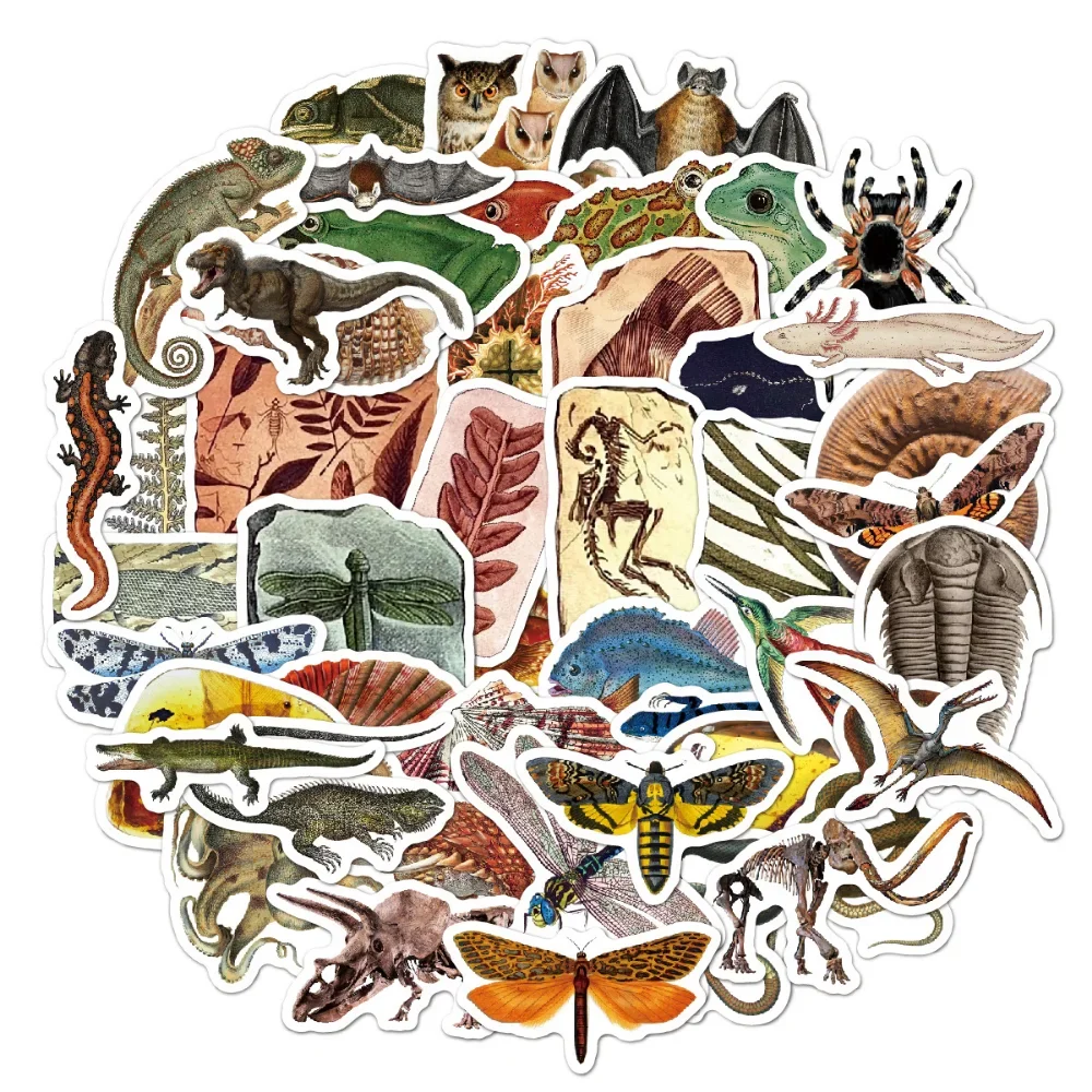 

10/30/50pcs Paleontological Fossils Stickers For Car Laptop Phone Stationery Decal Waterproof Graffiti Sticker Kids Toys Gifts