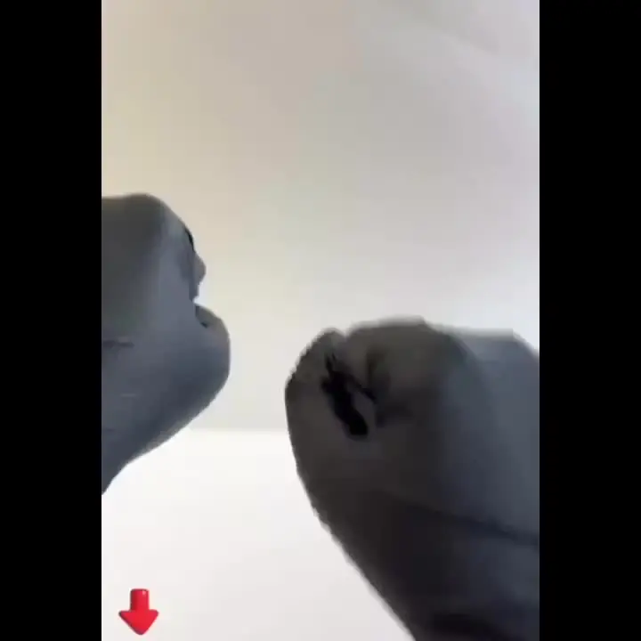 Gants nitrile jetables disposés sur une surface propre, prêts à l'emploi pour protection.