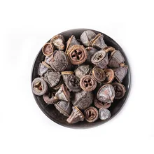 

Fructus Eucalypti Robustae,Robust Eucalyptus Fruit,Yi Kou Zhong