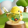 Water Bird Whistle for Children Toys, Bird's Call for Babies, Can Add Water to Whistle for Training Musical Instrume Kids Gifts 4