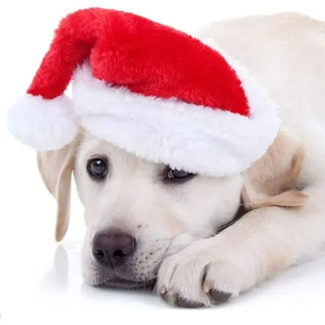 Festive Pet Santa Hat Red Soft Plush Christmas Cap for Dogs Cats Holiday Costume Accessory Cute Photo Props Christmas Decoration 3