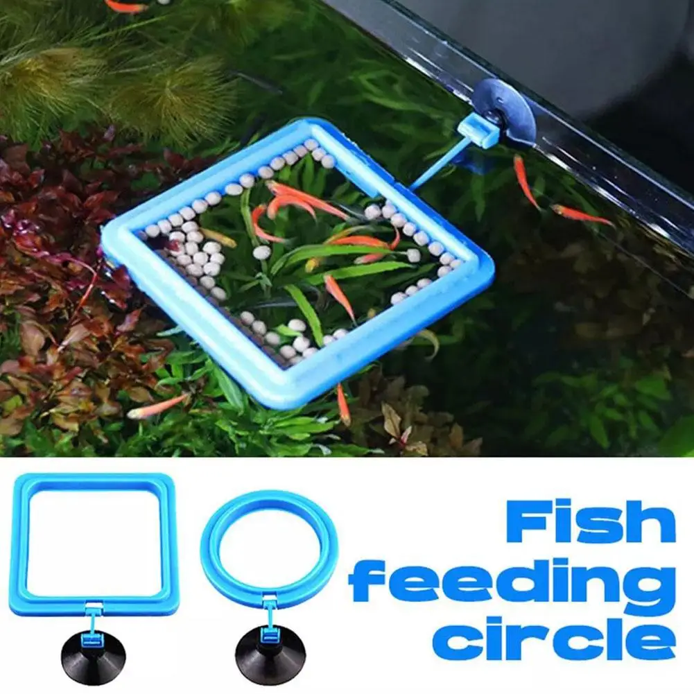 Anello Galleggiante per Alimentazione Acquario, Vassoio Alimentatore Quadrato/Circolare per Pesci, Accessori per Mangime con Ventosa - immagine 2