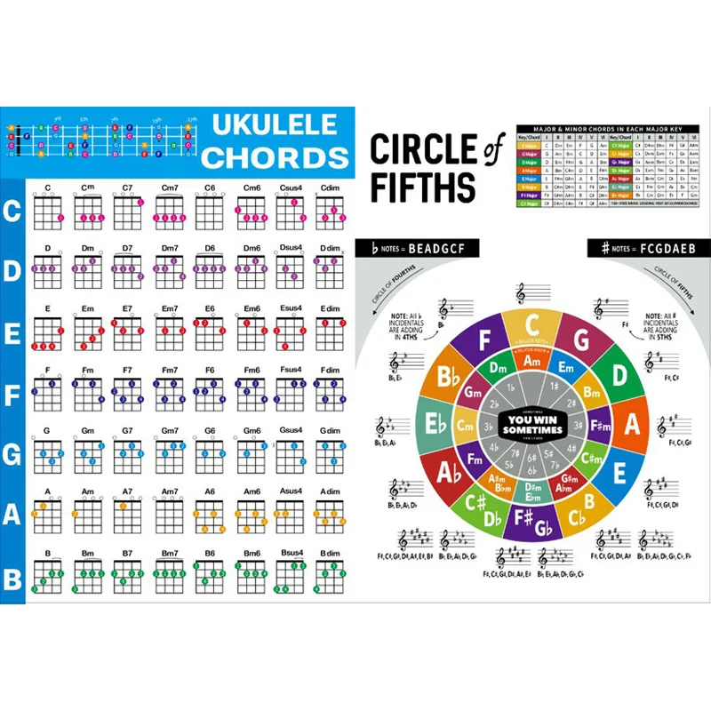 Beginner's Laminated Ukulele Chord & Music Theory Poster