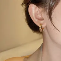 2026 New Design Tiger Eye Stone Wrapped Gold Color Earrings European and American Trendy Jewelry For Women's Luxury Accessories - Image 3