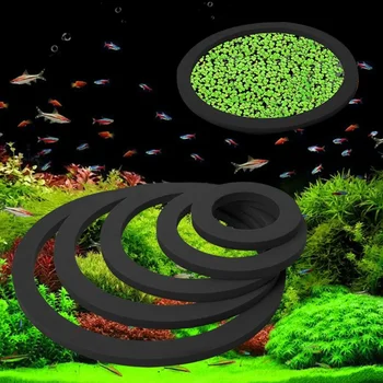 Aquarium Floating Feeding Rings 1