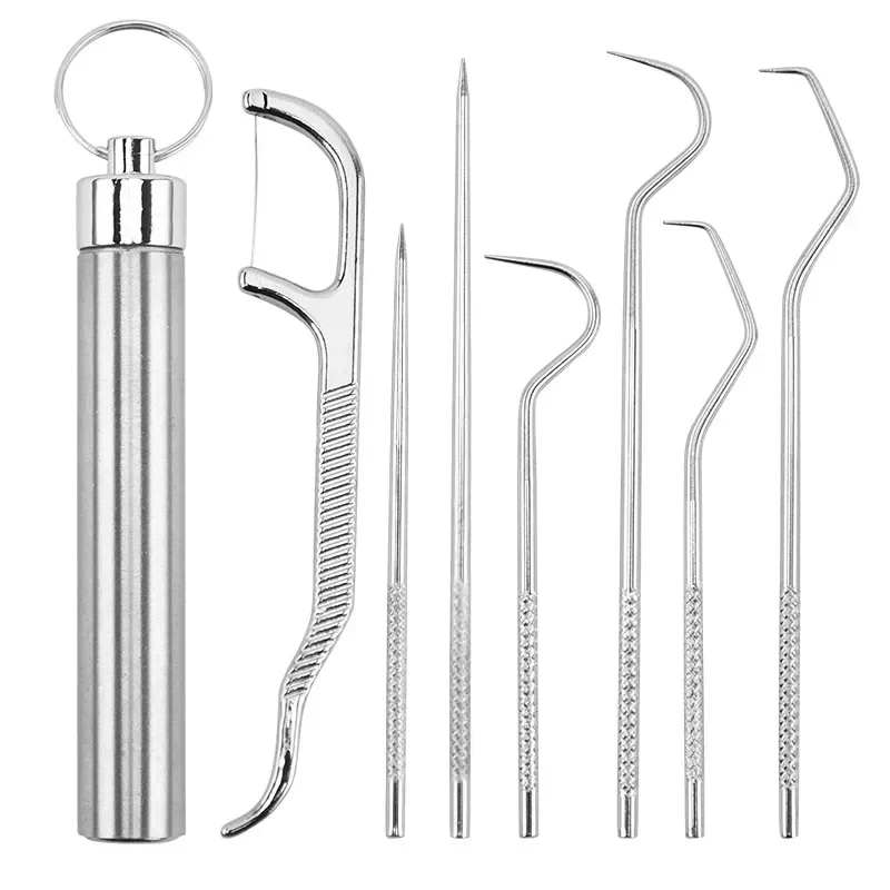 Portable Stainless Steel Toothpick & Floss Pick Set - Reusable Tartar Removal Tool for Travel Oral Care,  Dental Hygiene Kit