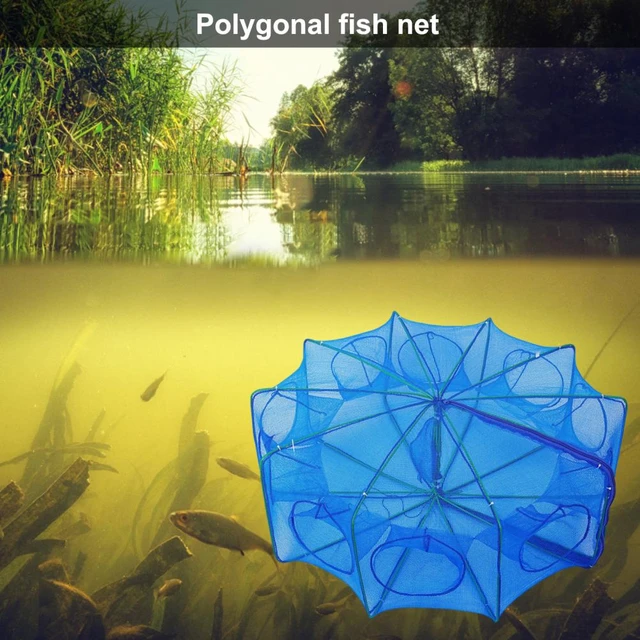 Fishing Catch Cage Versatile Foldable Fishing Trap Net Catch Minnow  Crayfish Shrimp with This Collapsible 6/8-hole - AliExpress