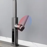 ก๊อกน้ําห้องครัวร้อนและเย็นจอแสดงผลดิจิตอลดึงออกหมุนได้มัลติฟังก์ชั่ผักอ่างล้างหน้าก๊อกน้ํา 4