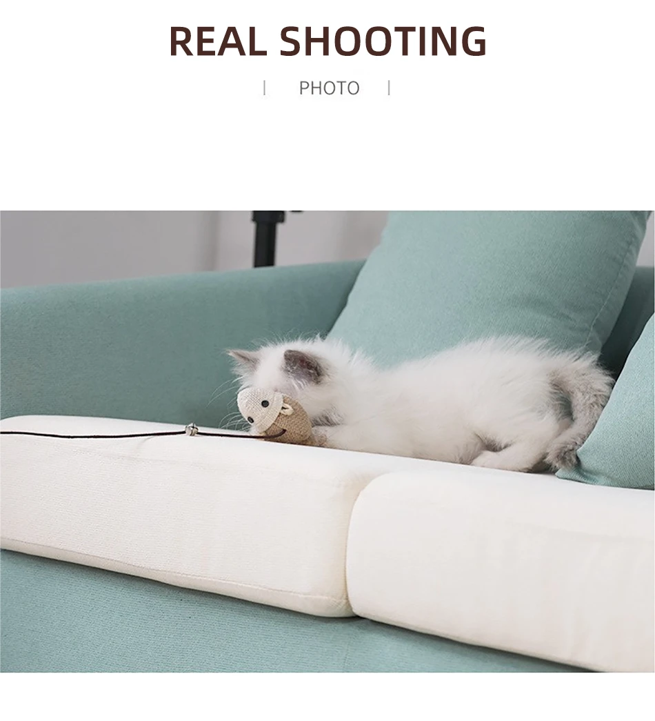 S881bbbbc7a0e412aa58163224cfde9522