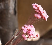 30pcs Mini Daisy Dried Flowers Bouquet Vase For Wedding Party Home Decor Outdoor Garden Eucalyptus Leaves Fake Plants 45cm 6