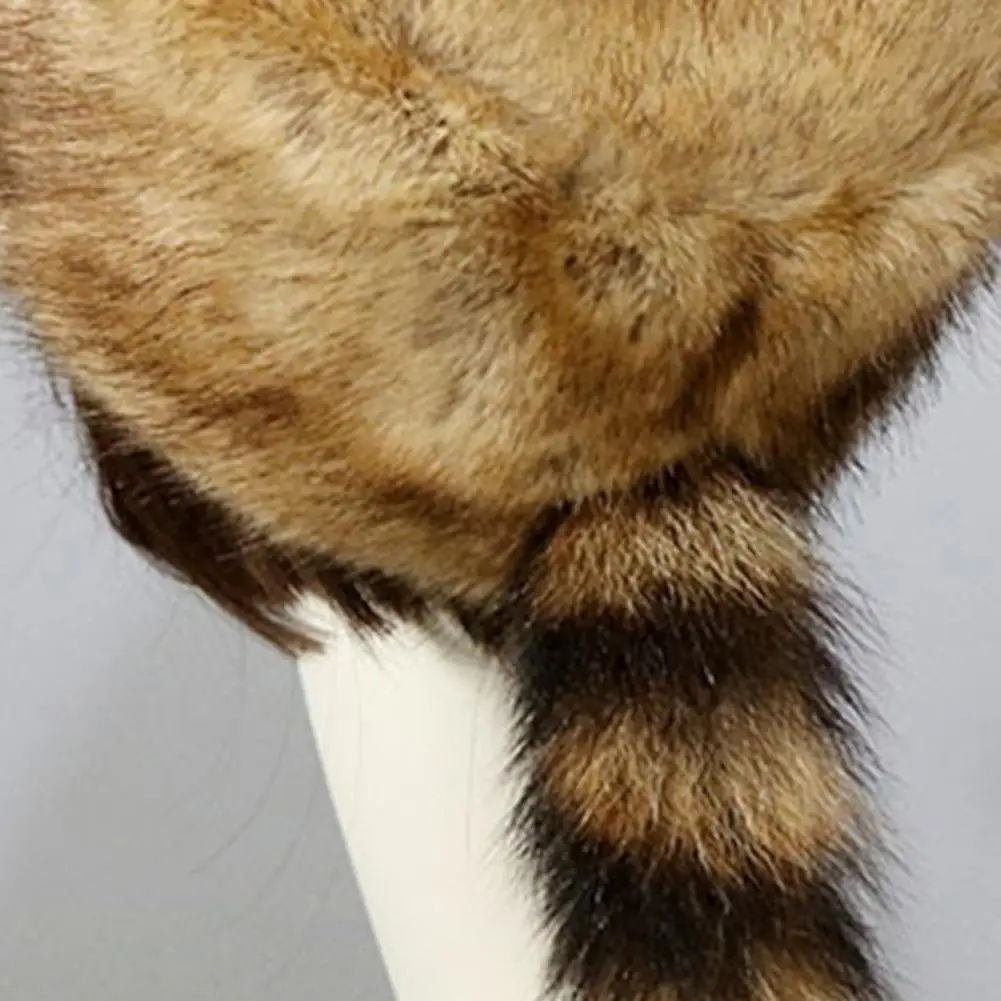 Winter Hat Faux Fur Raccoon Tail Russian Round Flat Top Ear Protection Thickened Autumn Winter Thermal Women Cap for Camping windproof winter hat