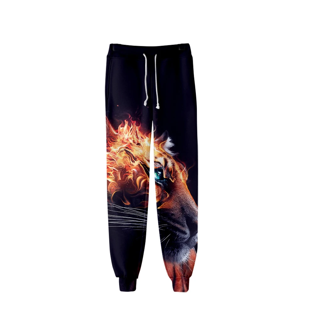 Рисунок 2 - Брюки спортивные мужские камуфляжные