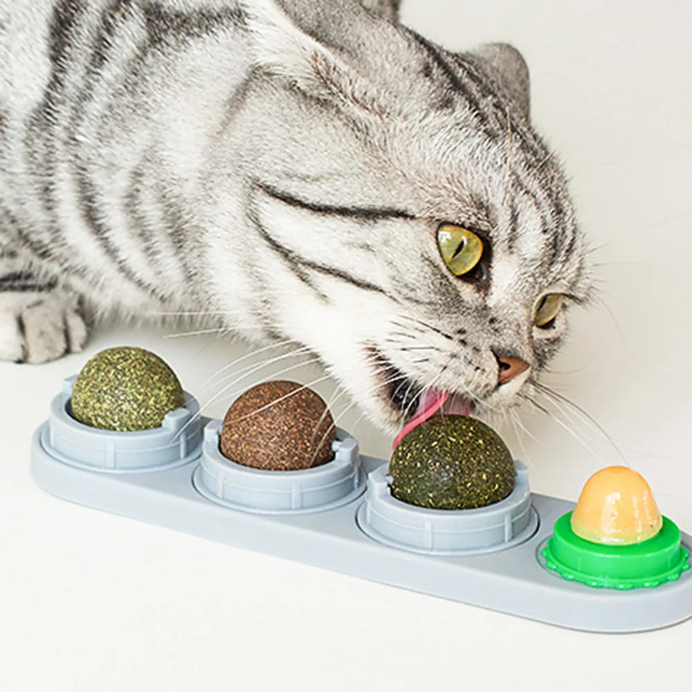 

Wall Mounted Catnip Toy For Cat Lickable Teeth Cleaning Cat Bite Toy Pet Accessories