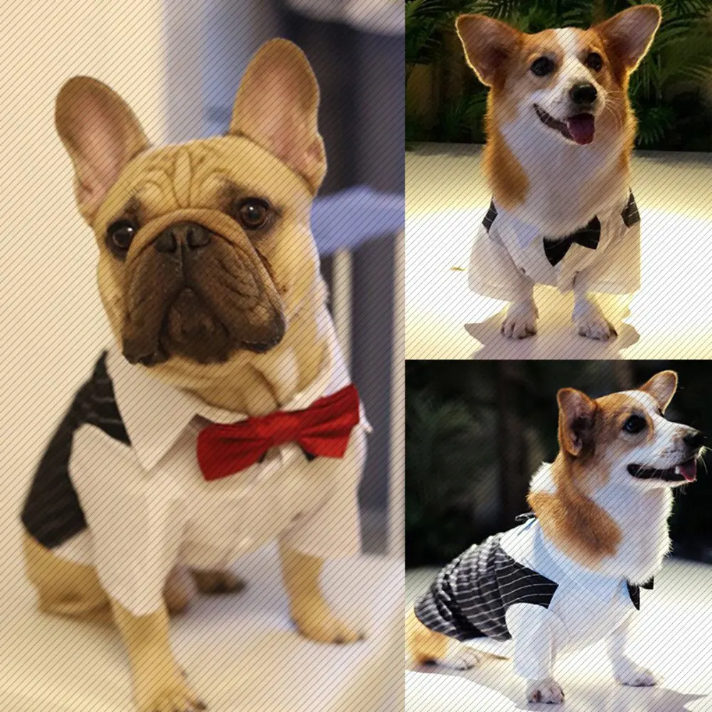 Dog Costume Set Dog Bow Tie Dress Dog Tuxedo Pet Four Seasons Wear British Style Bow Tie Suit Cholthes Button Suit Clothing