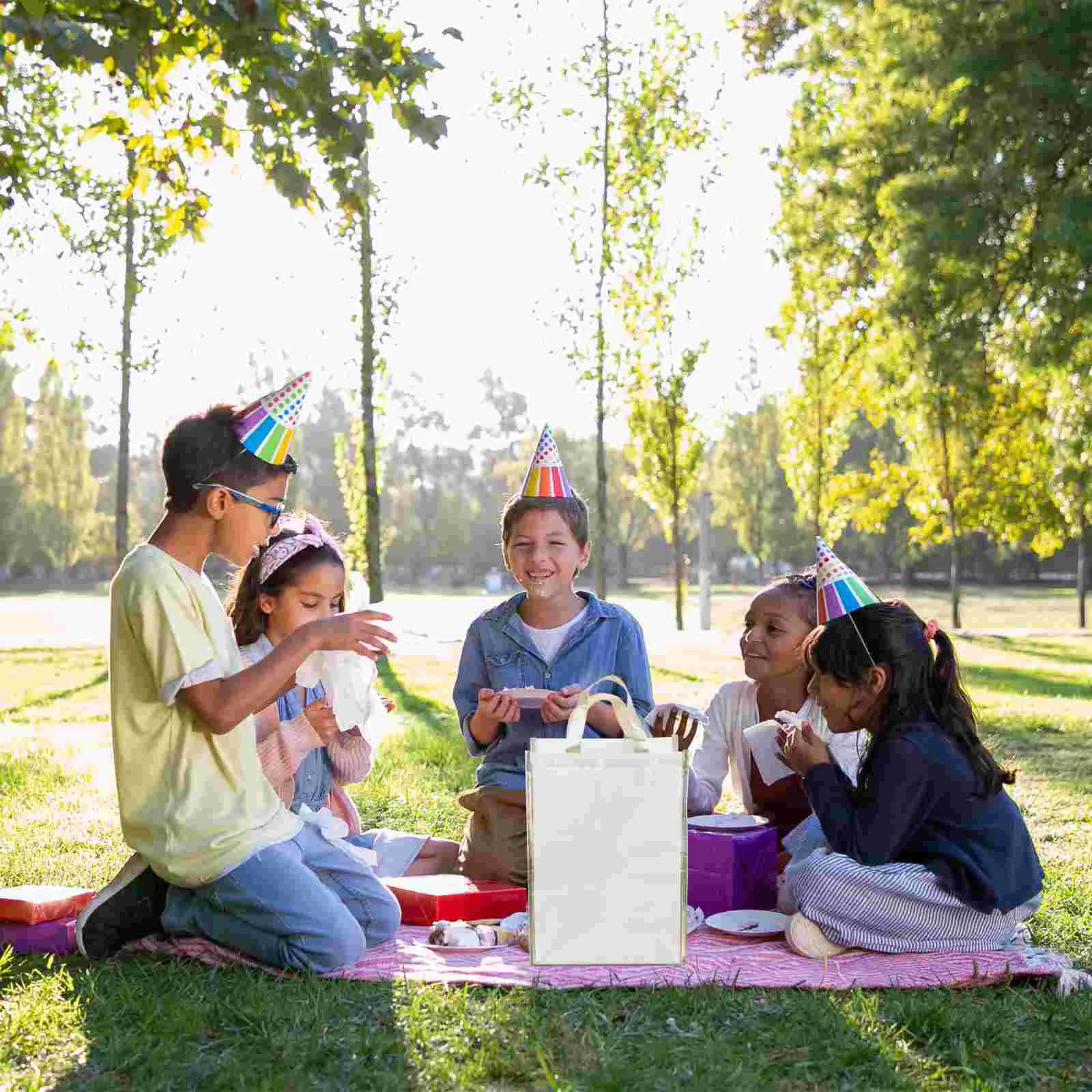 

Insulated Food Bag Cake Delivery Bag Insulated Food Bag Food Carrying Bag