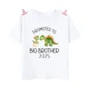 Big Brother Est 2025 Print Kid T-Shirt Child Summer T Shirt Tops Pregnancy Announcement Boys Shirts Toddler Short Sleeve Clothes 6