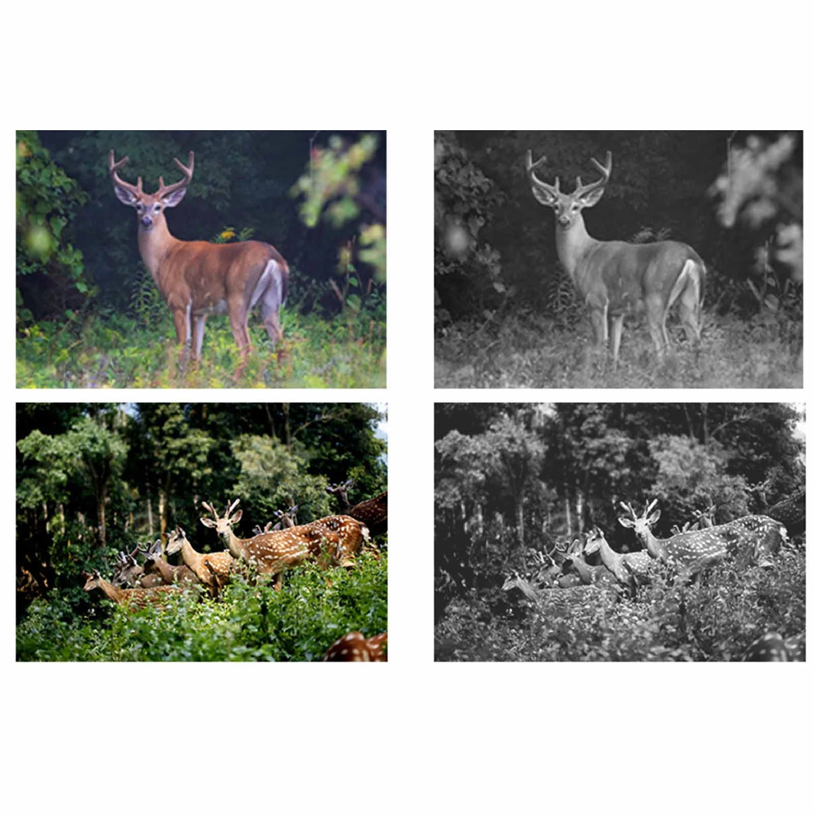 Infrared Night Vision Camera 2.0in TFT HD Display 1920x1080P IP66 Waterproof Wildlife Trail Camera for Outdoor HD Hunting hunting trail camera,trail camera