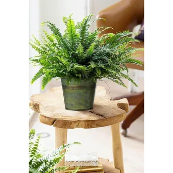 5 Size Galvanized Buckets Rustic Farmhouse Metal Bucket Galvanized Flower Bucket Plants Pot Home Indoor Outdoor Dr Tin Planter 4