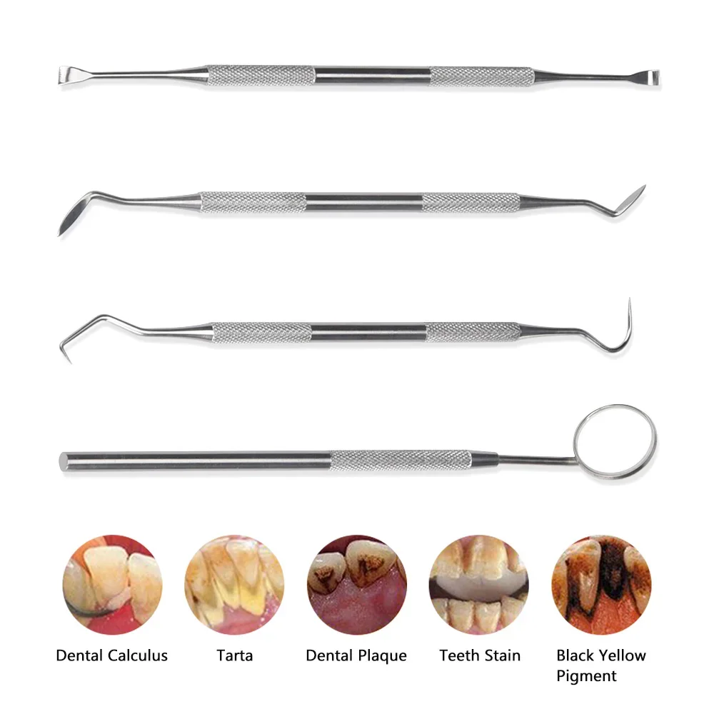 Dental scaler 4pcs/Set Tartar Scraper Scaler Plaque Remover Teeth Cleaning Tool Dentist Dental Hygiene Kit Dental Calculus Remover Oral Care