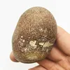 150-200g Natural crystal rough unpolished agate stone home decoration 5