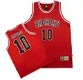 No. 10 Sakuragi