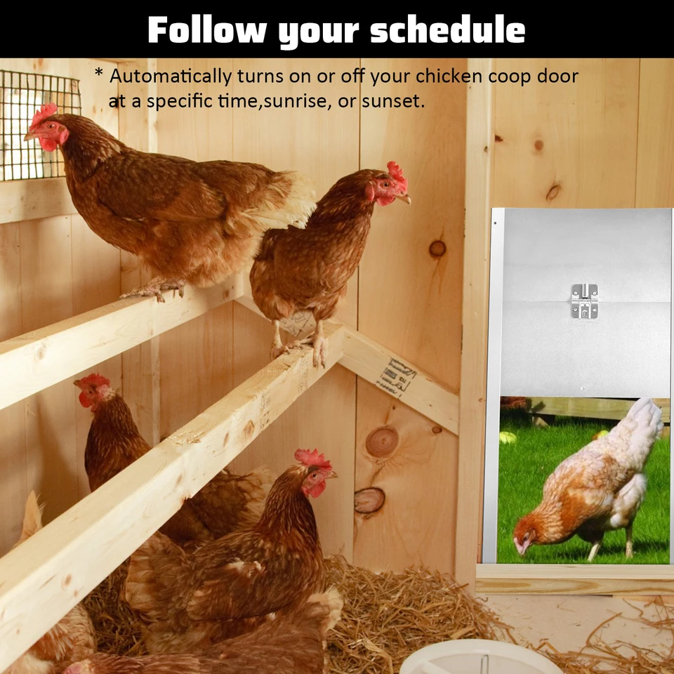 Automatic Chicken Coop Door with Timer Function
