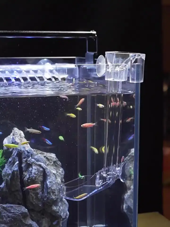 De 6 beste aquarium voederbakken in 2026
