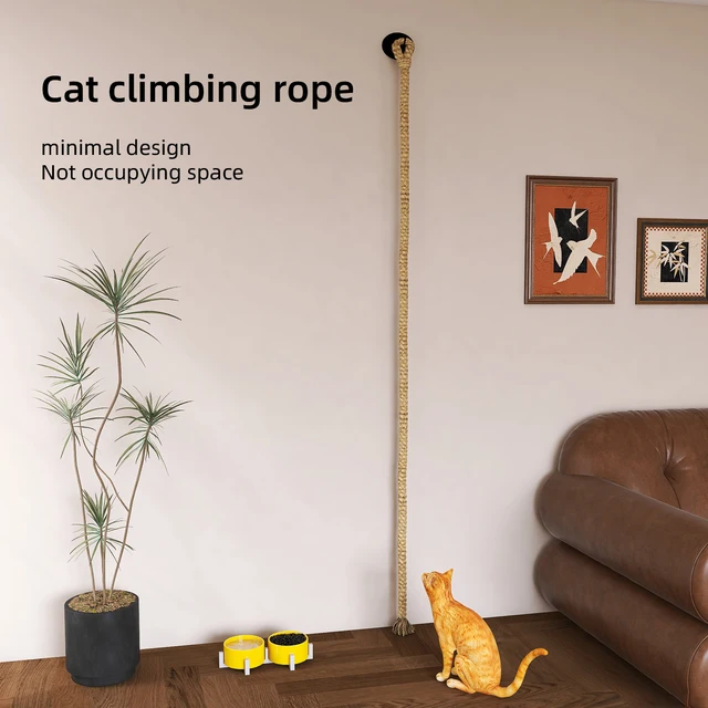 1pc wall-mounted cat scratcher with sisal rope, climbing ladder & play rope. Perfect indoor cat toy for all sizes 1pc wall-mounted cat scratcher with sisal rope, climbing ladder & play rope. Perfect indoor cat toy for all sizes