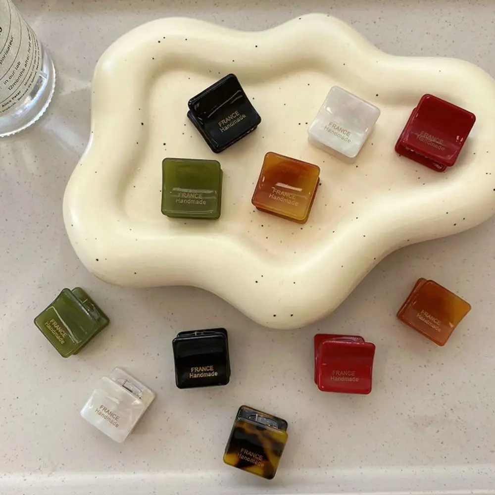Description Picture 6 of itemAcetic Acid Mini Hair Claw Hair Accessories Hair Grab Clip Square Acetate Hair Clips High Ponytail Clip Barrettes Girls