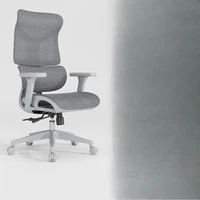 Cheap Rotating Office Chair Rotating Floor Rotatable Luxury Office Chair Study Durable Modern Ergonomic Metal Muebles Furniture 2