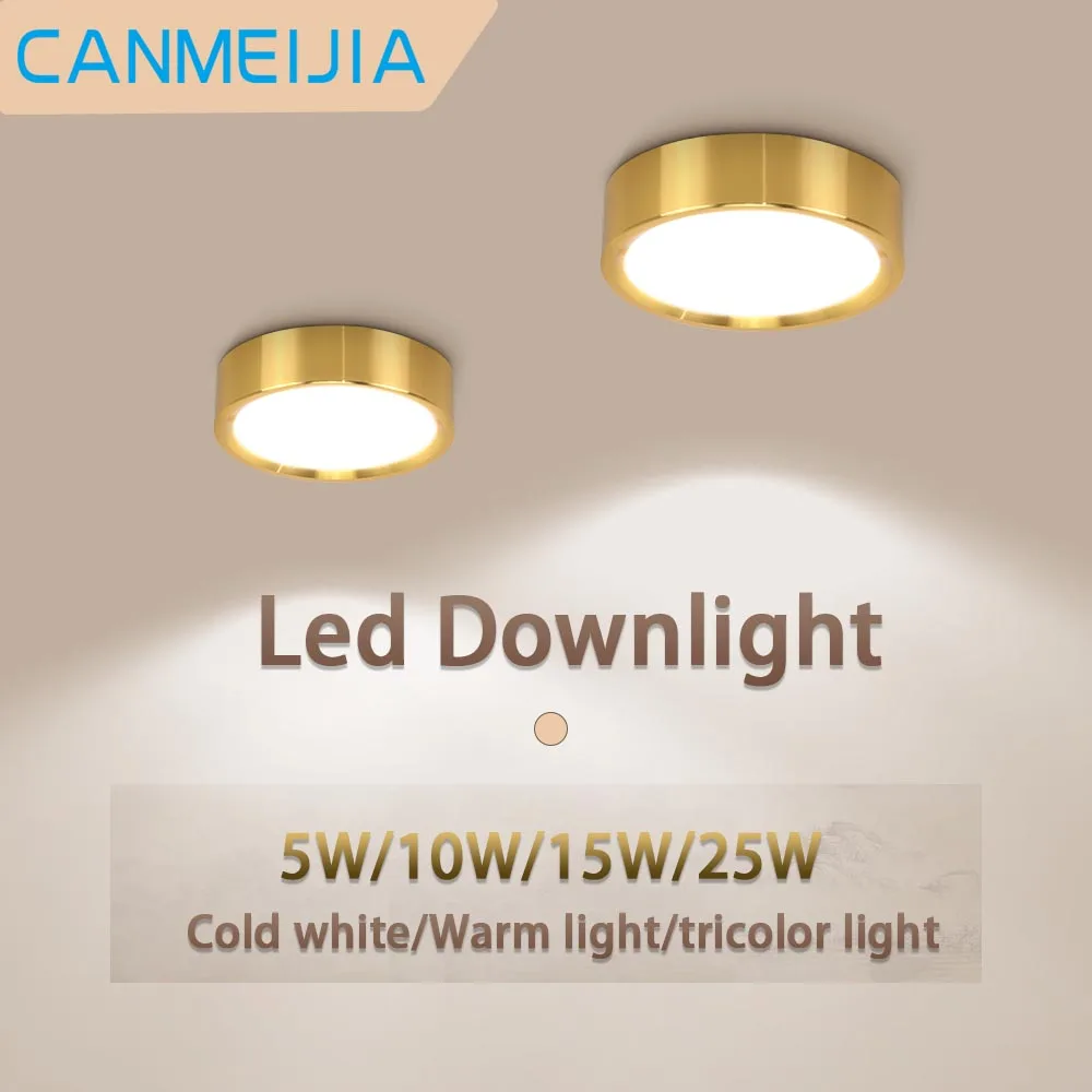 Led Ceiling Light Gold LED Downlight Surface Mounted Down Light Thin Panel Spotlight Indoor Ceiling for Livingroom Kitchen