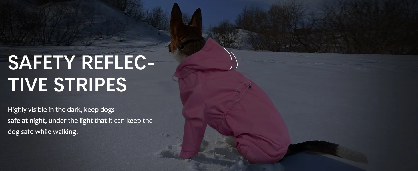 Dog raincoat-729YY-11