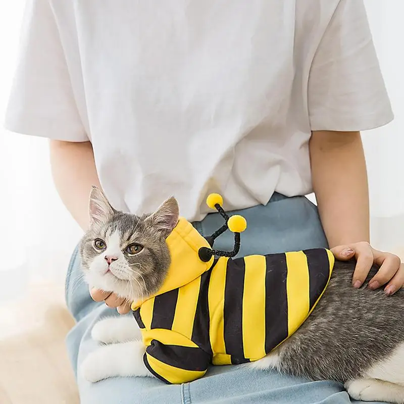 개 벌 코스튬 애완 동물 의류, 작은 개, 강아지, 고양이, 부드러운 고양이, 휴일 코스프레, 작은 중형 개, 새끼 고양이용 따뜻한 옷