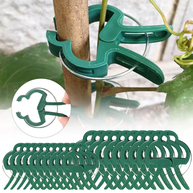Növényi Klipek Oltó Tétek Csatlakozói Klip Újrahasznosítható Növény Rögzített Zárójele A Kertészeti Zöldségek Szárának Támogatásához