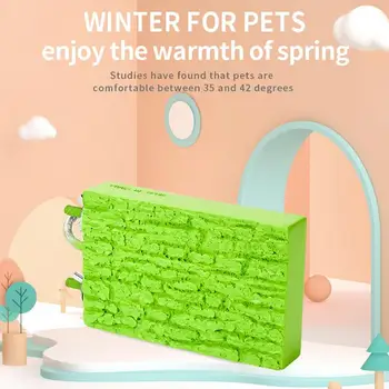 Heated Bird Perch 5W Thermostatic Flat Bird Heater for Cage Safe Bird Perch Stand Warmer for Birds Parrots Hamsters Chinchillas 2