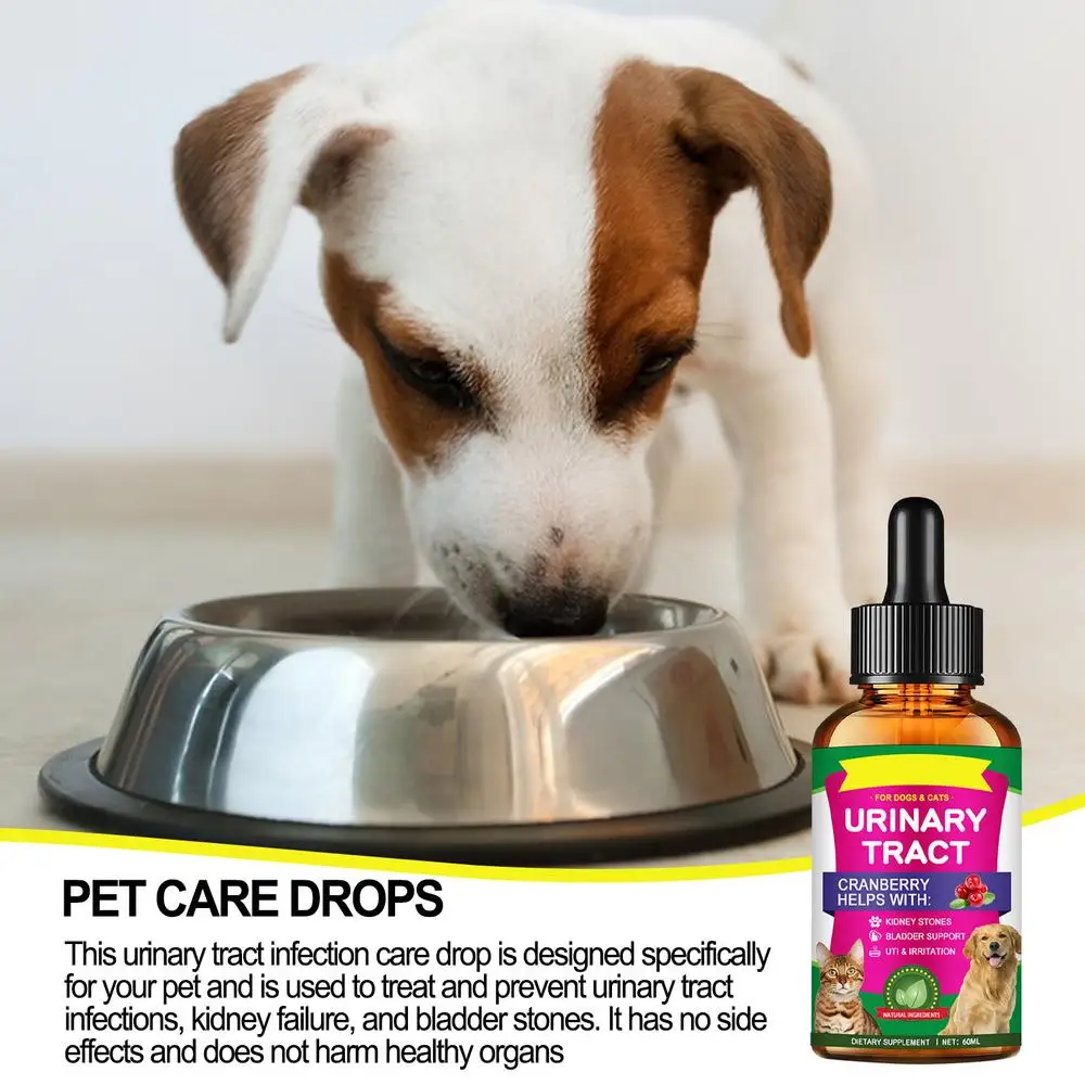 Pet UTI Treatments | Cat Bladder Drops for Urinary Care