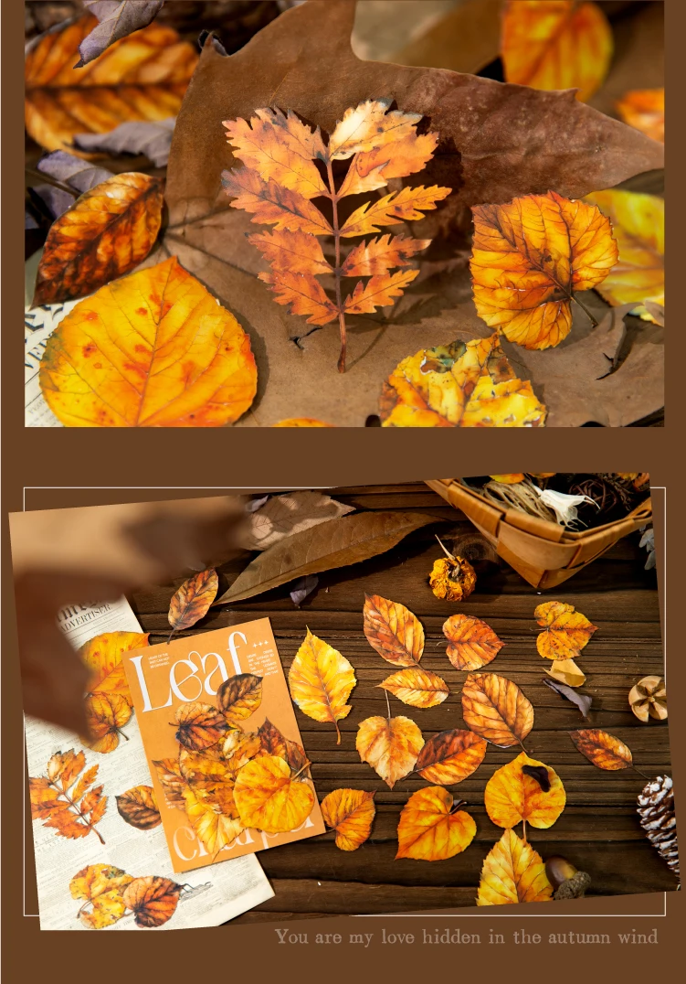 Journal GO 20 Stück goldene Herbst-Fallenblatt-Landschaftsaufkleber für Karten, Basteln, Dekoration, bunte Blätter, Sammelalbum, Graffiti – Detail 10